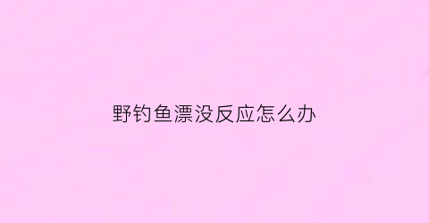 野钓鱼漂没反应怎么办(野钓鱼吃钩鱼漂不动)