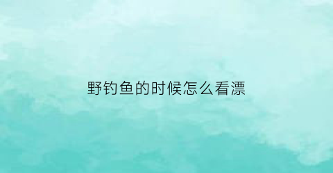 野钓鱼的时候怎么看漂(野钓看漂视频教程)