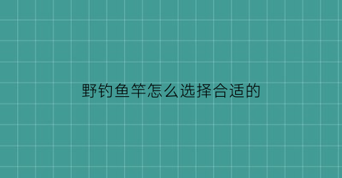 野钓鱼竿怎么选择合适的(野钓选什么竿)