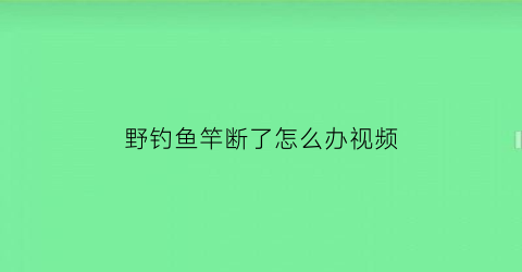 “野钓鱼竿断了怎么办视频(钓鱼竿子断了)