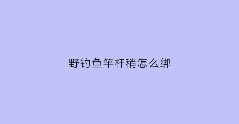 野钓鱼竿杆稍怎么绑(钓鱼竿稍如何绑)