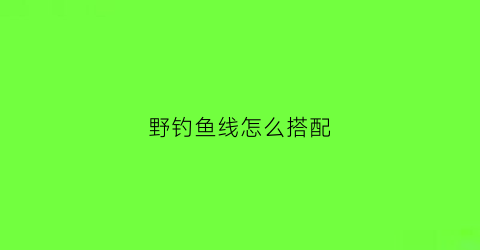 野钓鱼线怎么搭配(野钓鱼线鱼钩选择)
