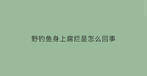 野钓鱼身上腐烂是怎么回事(野钓鱼身上腐烂是怎么回事图片)