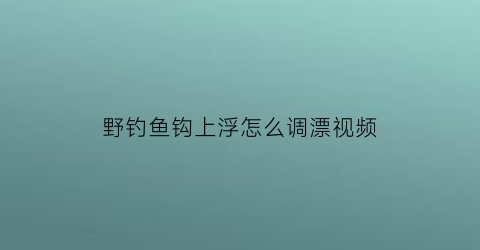 野钓鱼钩上浮怎么调漂视频(钓鱼上钩的鱼浮有什么变化)