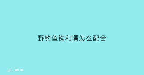 野钓鱼钩和漂怎么配合(野钓鱼钩和漂怎么配合使用)