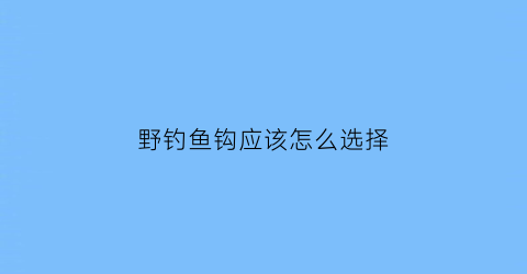 野钓鱼钩应该怎么选择