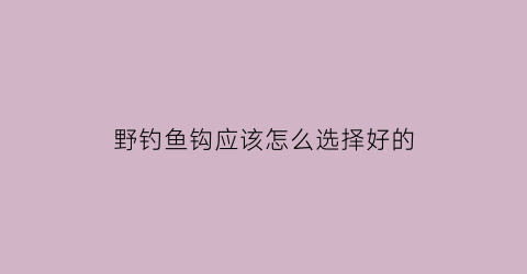 “野钓鱼钩应该怎么选择好的(野钓钩型选择)