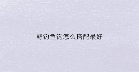 野钓鱼钩怎么搭配最好