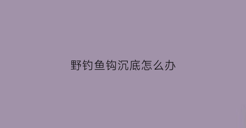 野钓鱼钩沉底怎么办(野钓鱼钩沉底怎么办视频)