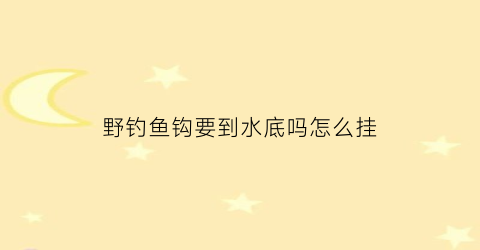 野钓鱼钩要到水底吗怎么挂