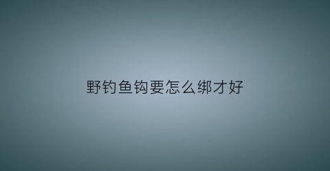 野钓鱼钩要怎么绑才好(野钓鱼钩要怎么绑才好用)