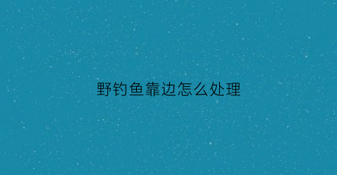 野钓鱼靠边怎么处理