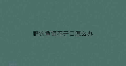 野钓鱼饵不开口怎么办(饵料钓不到鱼怎么办)