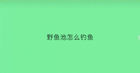 野鱼池怎么钓鱼(野鱼池怎么钓鱼好)