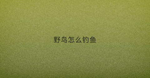 野鸟怎么钓鱼(野鸟怎么钓鱼的)