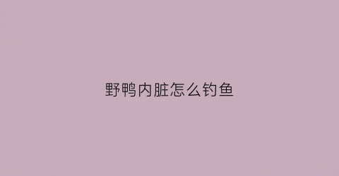 野鸭内脏怎么钓鱼(野鸭内脏怎么钓鱼的)