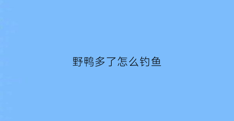 野鸭多了怎么钓鱼(野鸭多了怎么钓鱼好)