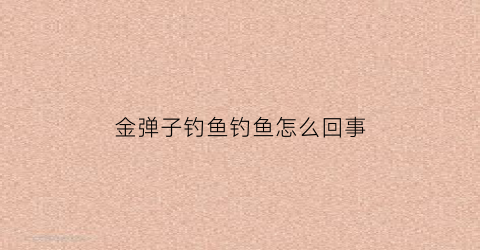 金弹子钓鱼钓鱼怎么回事(金弹子能靠接吗)