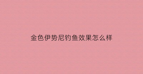 金色伊势尼钓鱼效果怎么样(金色伊芙月季图片)