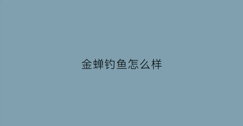 金蝉钓鱼怎么样(金蝉钓鱼怎么样好用吗)