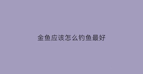 金鱼应该怎么钓鱼最好(小金鱼怎么钓)