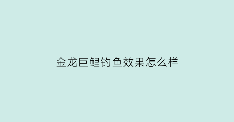 金龙巨鲤钓鱼效果怎么样