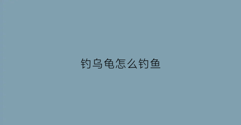 钓乌龟怎么钓鱼(钓乌龟怎么钓鱼视频)