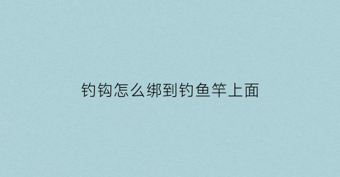 钓钩怎么绑到钓鱼竿上面(钓钩怎么绑到钓鱼竿上面去)