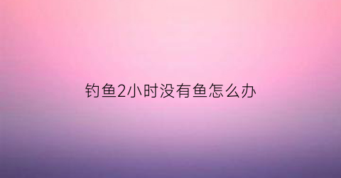 钓鱼2小时没有鱼怎么办