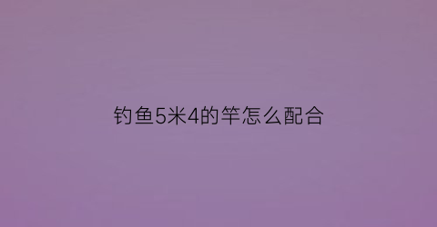钓鱼5米4的竿怎么配合(钓鱼5米4的竿怎么配合好看)