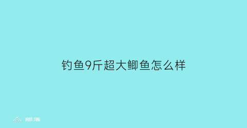 钓鱼9斤超大鲫鱼怎么样(钓鱼9斤超大鲫鱼怎么样才能钓到)