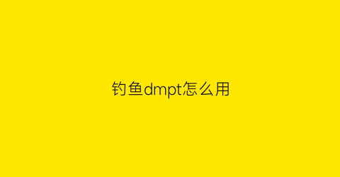 钓鱼dmpt怎么用