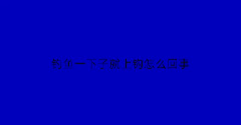 钓鱼一下子就上钩怎么回事(钓鱼一下子就上钩怎么回事儿)