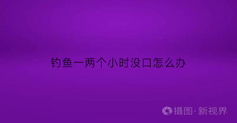 钓鱼一两个小时没口怎么办(钓两个小时鱼都不动还有鱼吗)