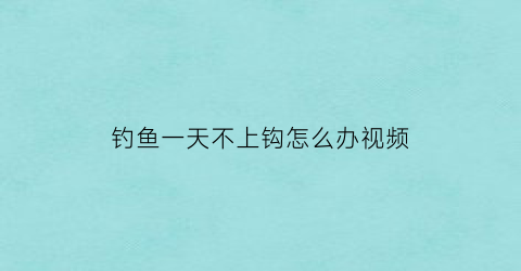 钓鱼一天不上钩怎么办视频(野钓一天都没鱼口)