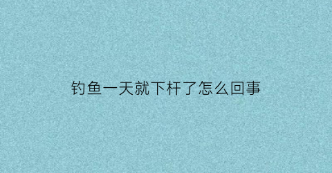 钓鱼一天就下杆了怎么回事