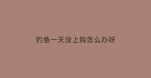 “钓鱼一天没上钩怎么办呀(钓了一天一只也没钓到)