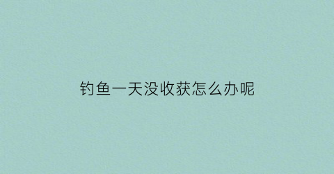 “钓鱼一天没收获怎么办呢(钓鱼一整天没有口怎么回事)