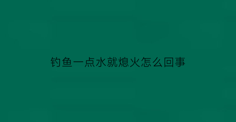 钓鱼一点水就熄火怎么回事(钓鱼动一下就不动了)