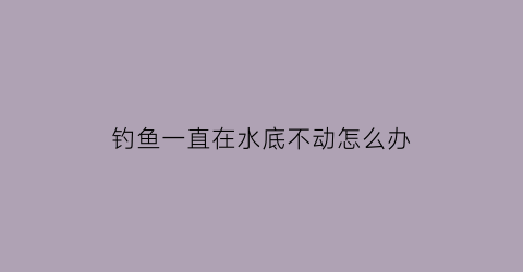 “钓鱼一直在水底不动怎么办(钓鱼钓在水底是什么状态)