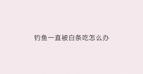 钓鱼一直被白条吃怎么办(白条钓上来就死)