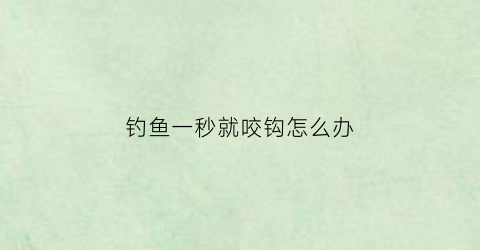 钓鱼一秒就咬钩怎么办(钓鱼钓一会就没口了)