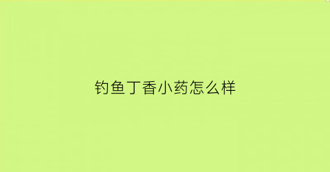 钓鱼丁香小药怎么样(钓鱼用丁香小药配制方法)