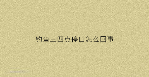 “钓鱼三四点停口怎么回事(3点钓鱼钓哪个位置)