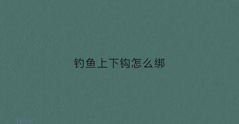 钓鱼上下钩怎么绑(上钩和下钩)