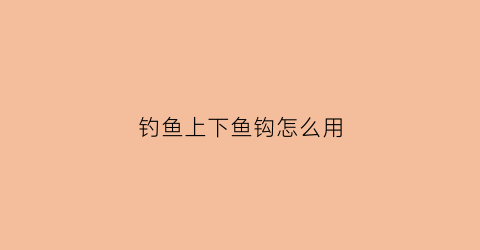 钓鱼上下鱼钩怎么用(上下钓组)
