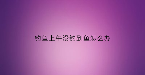 钓鱼上午没钓到鱼怎么办(钓一上午鱼一口没有)