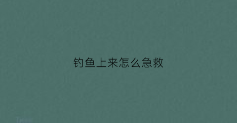 钓鱼上来怎么急救(钓鱼着急)