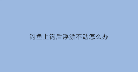 钓鱼上钩后浮漂不动怎么办(钓鱼鱼上钩鱼漂的反应)