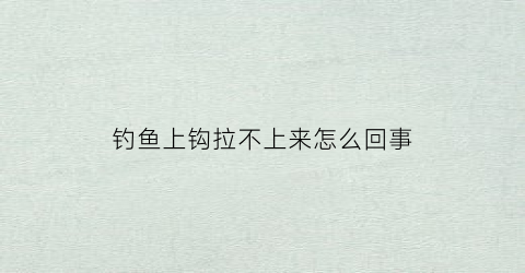 钓鱼上钩拉不上来怎么回事(鱼钩钩到底拉不上来)